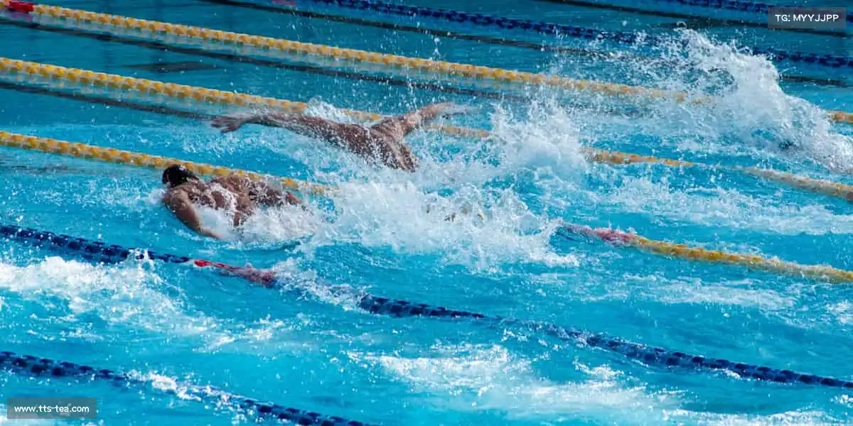 人生就是搏中国官网bkl8——潜水冒险,探秘深蓝🌊